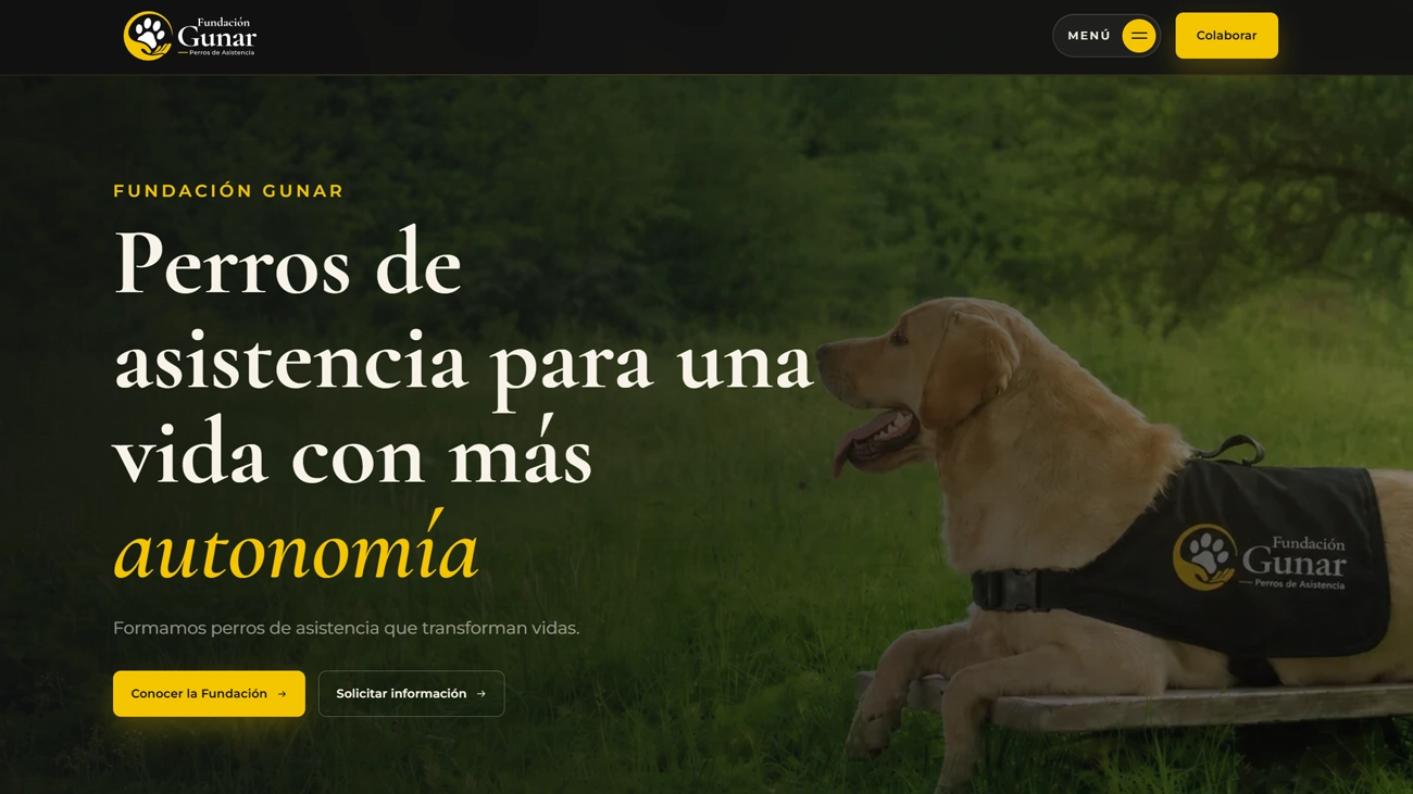 Diseño web para Fundación Gunar