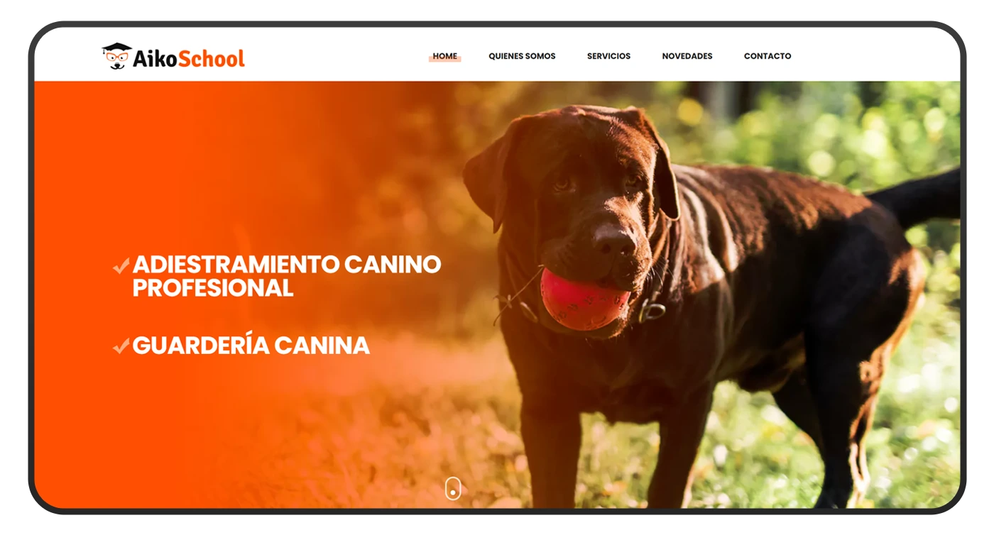 diseño de pagina web aiko adiestramiento canino