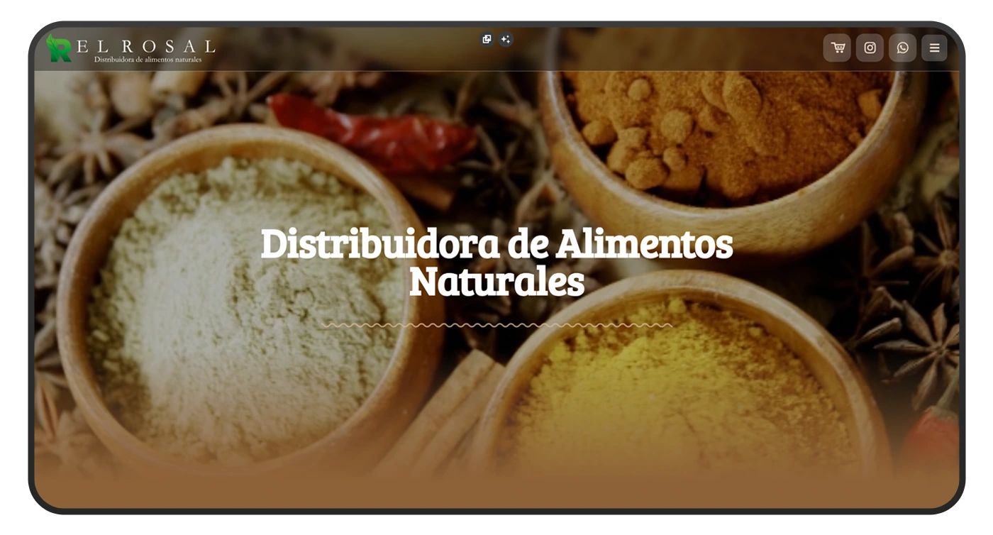 diseño de pagina web elrosal