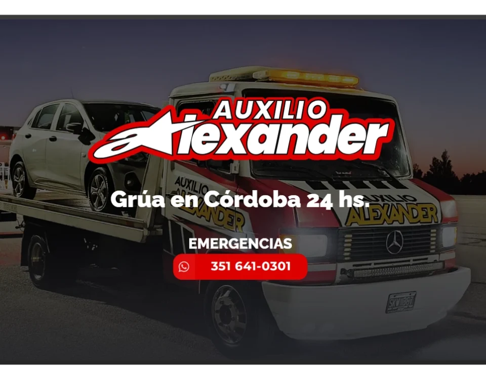 pagina web auxilio alexander portada