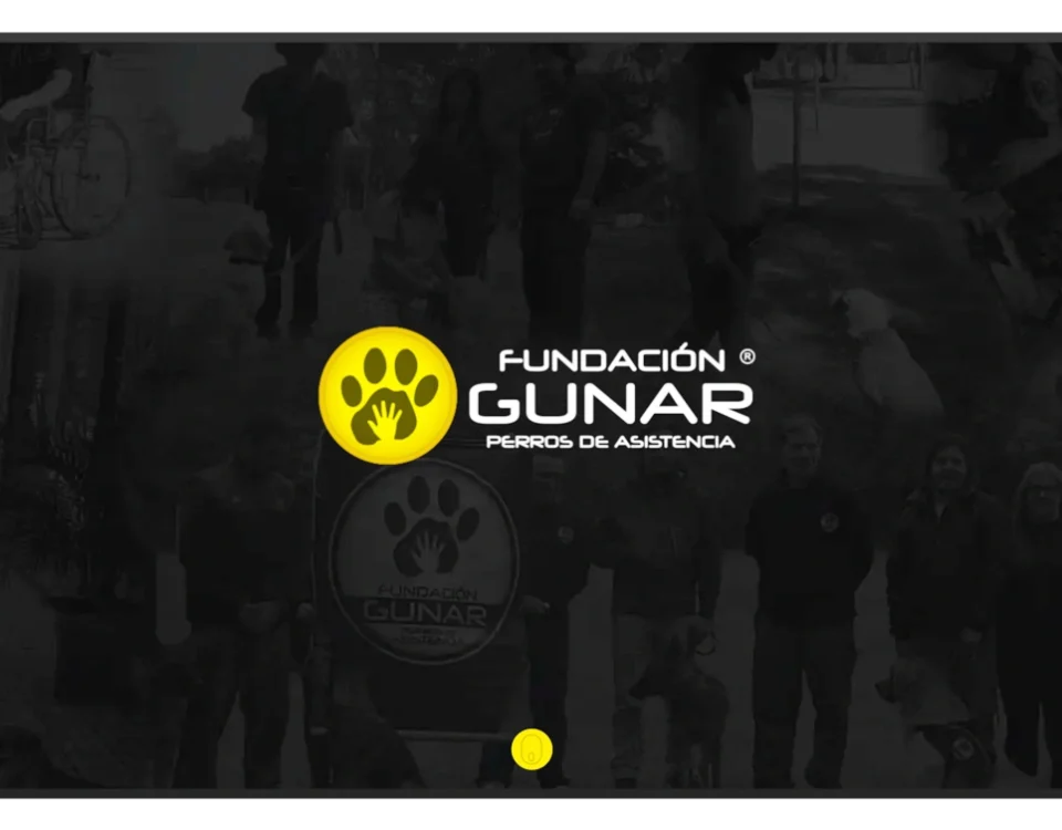 pagina web fundacion gunar portada