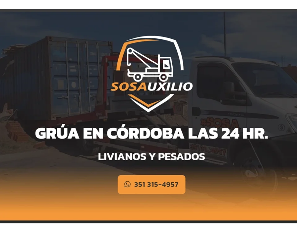 pagina web sosauxilio portada