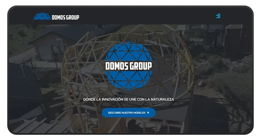 Diseño de Página Web - Grupo Domos